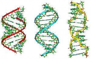 DNA - Ground Breaking Scientific Discoveries