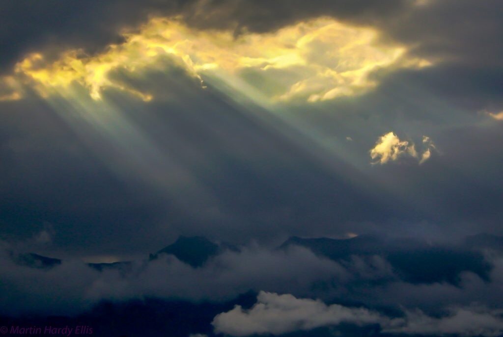 I Saw The Light