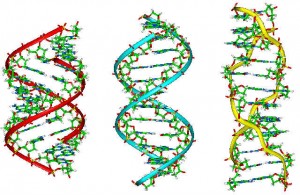 dna images-publicdomain